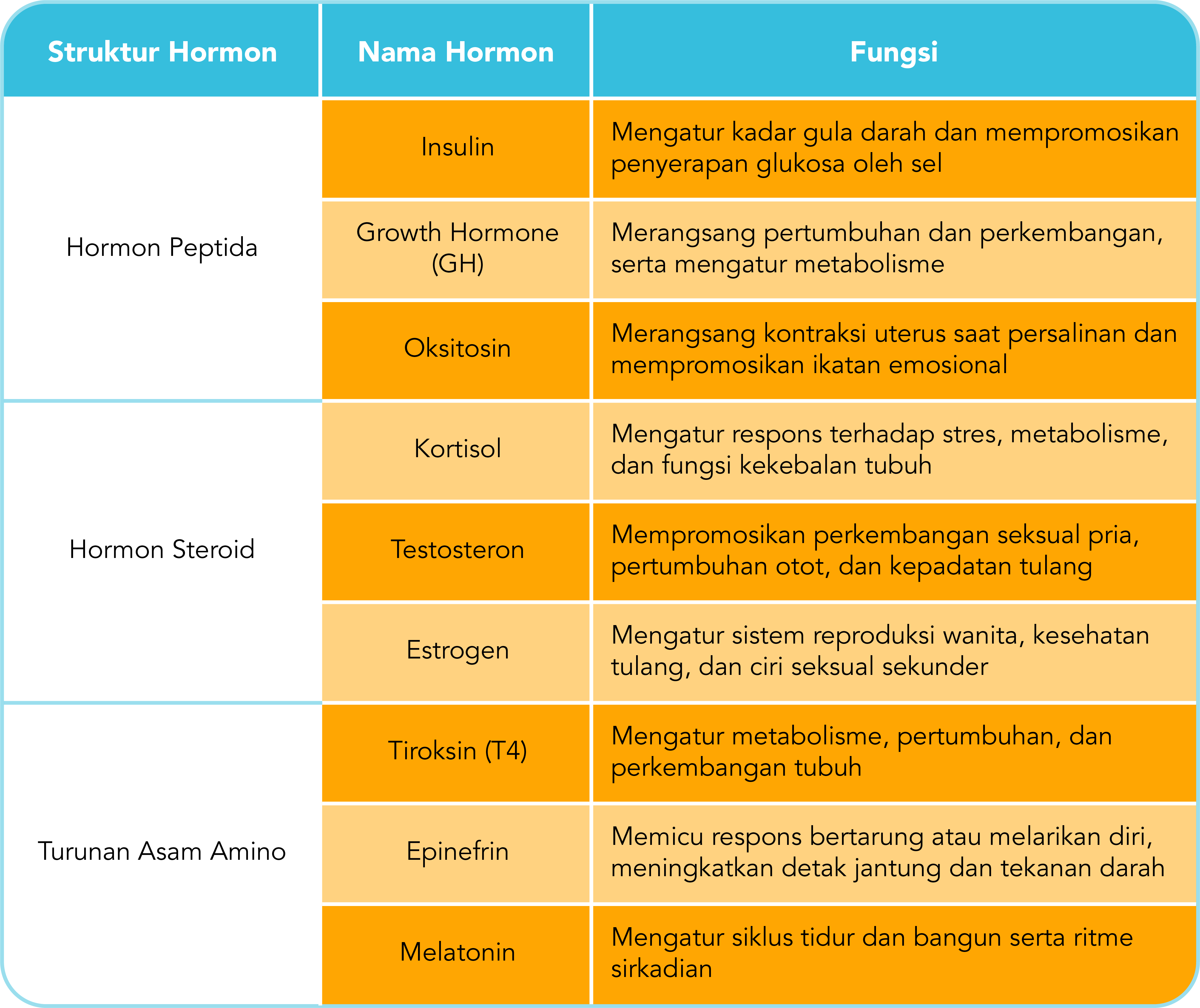 Senyawa Hormon: Fungsi Kimiawi dalam Tubuh Manusia